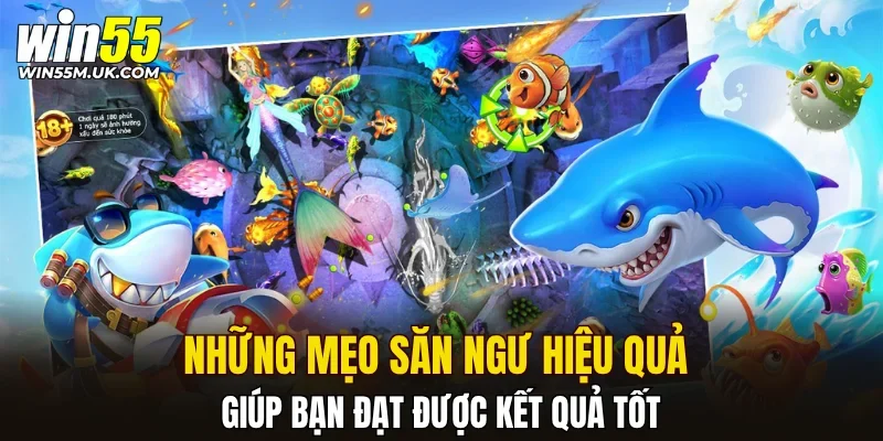 Những mẹo săn ngư hiệu quả giúp bạn đạt được kết quả tốt