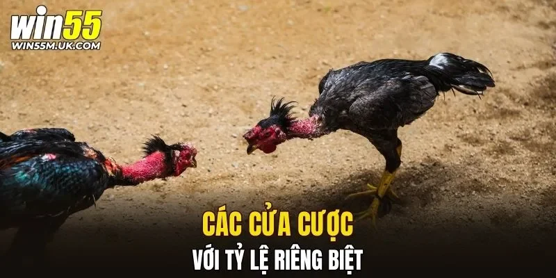 Các cửa cược với tỷ lệ riêng biệt