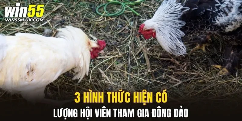 3 hình thức hiện có lượng hội viên tham gia đông đảo