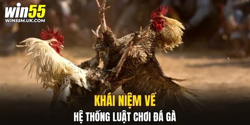 Khái niệm về hệ thống luật chơi đá gà