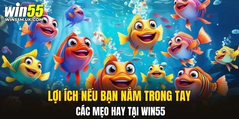 Lợi ích nếu bạn nắm trong tay các mẹo hay tại WIN55