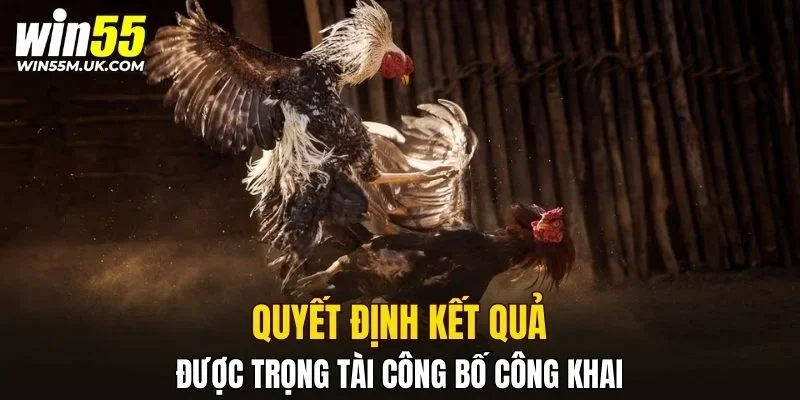 Quyết định kết quả được trọng tài công bố công khai